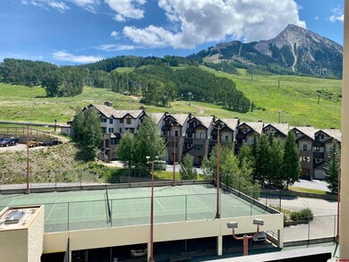 11 Snowmass Rd unit 532, Mt. Crested Butte, CO 81225 - photo 2