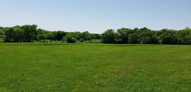 14355 Liberty School Rd, Azle, TX 76020 - photo 2