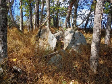 1017191050a_HDR