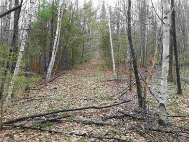 2 Highland Cir, Lyndon, VT 05851 - photo 3