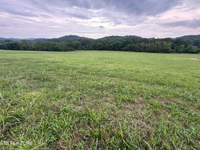 3 Rutledge Lot 3 Pike, Blaine, TN 37709 - photo 4