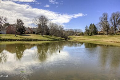 IMG_8818