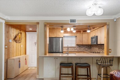 6817 Stonesthrow Cir N unit 17107, Saint Petersburg, FL 33710 - photo 3