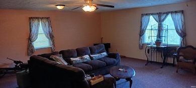 811 W Henry Rd, Thorntown, IN 46071 - photo 3