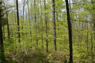 9 Jones Creek Rd, Dickson, TN 37055 - photo 4