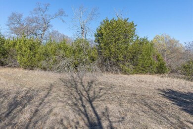 164 High Ridge Dr, Azle, TX 76020 - photo 7