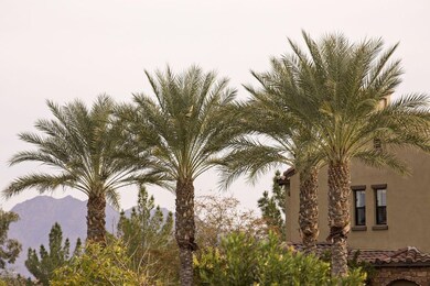 4777 S Fulton Ranch Blvd unit 1137, Chandler, AZ 85248 - photo 2