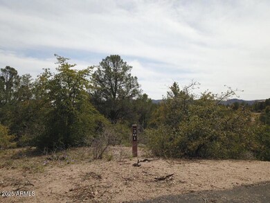 106 S Stewart Vista Rd unit 201, Payson, AZ 85541 - photo 6