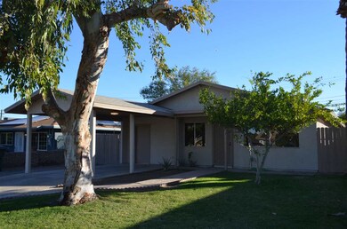 509 S Avenue A, Yuma, AZ 85364 - photo 5