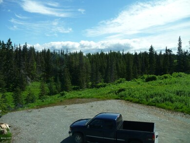 View back towards creek
