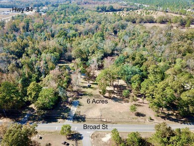 6 Acres N Broad St, Cowarts, AL 36321 - photo 2