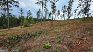 47 Springfield Pkwy, Ellijay, GA 30540 - photo 4