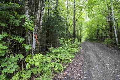 52 Gene Jordan unit Lot 52, Columbia, NH 03590 - photo 3