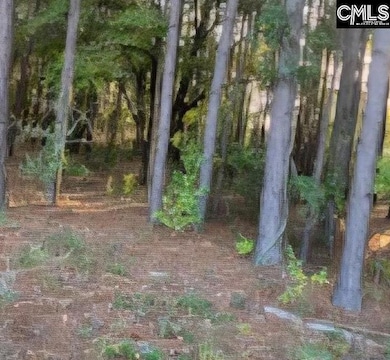 35 Simmons Dr, Camden, SC 29020 - photo 5