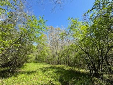 00 Whitehead Rd, Choudrant, LA 71227 - photo 2