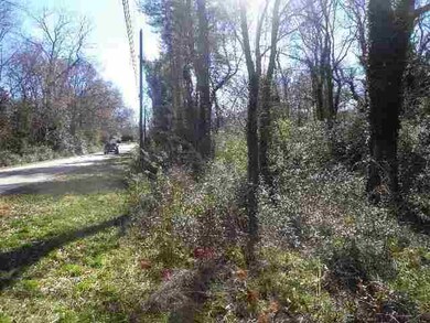 00 Crenshaw St unit & Greenville Street, Pendleton, SC 29670 - photo 6