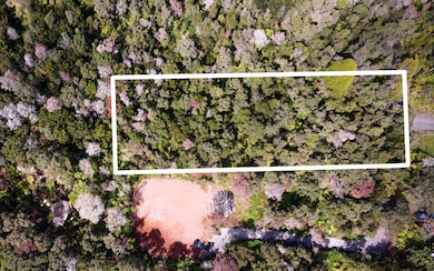 Note thick forest in this area of the Village.  Outline approximate.
