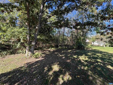 18 Black Walnut Ln unit 1-H B3, Nellysford, VA 22958 - photo 7