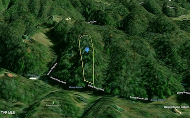 2940 Grassy Branch Loop, Sevierville, TN 37876 - photo 2