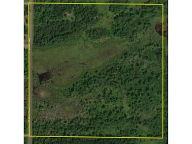 30xxx St Croix Trail, Swiss Township, WI 54830 - photo 3