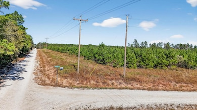 625 Trinity Trail, Lovelady, TX 75851 - photo 2