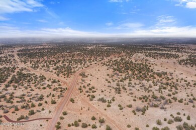 9996 Bird Dog Cir unit Lot E, Williams, AZ 86046 - photo 5