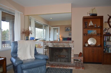 Living fireplace