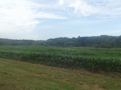 51+/- Acres Cth 0 Rd, Mineral Point, WI 53565 - photo 5