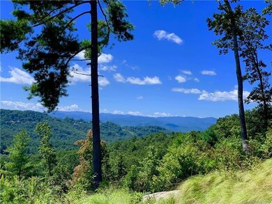 e4 Marble Ct unit Estates 4, Hendersonville, NC 28792 - photo 3