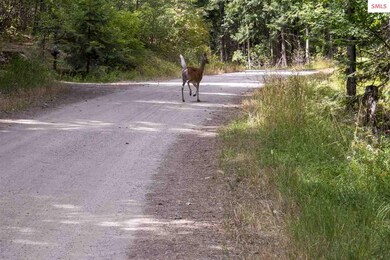 1231 Janish Dr, Sandpoint, ID 83864 - photo 6