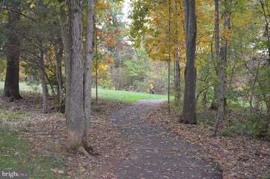 12672 Arthur Graves jr Ct, Bristow, VA 20136 - photo 7