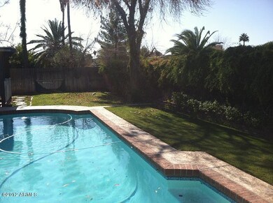 Pool & Landscape