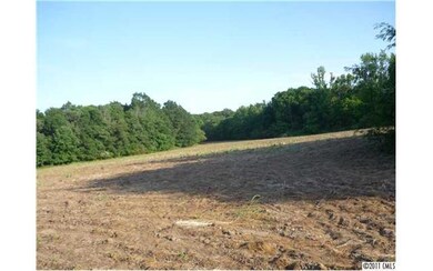 000 Lanesboro Rd, Marshville, NC 28103 - photo 4