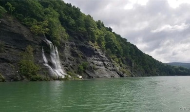 0 Off Morris Run Rt-41, Spafford, NY 13077 - photo 5