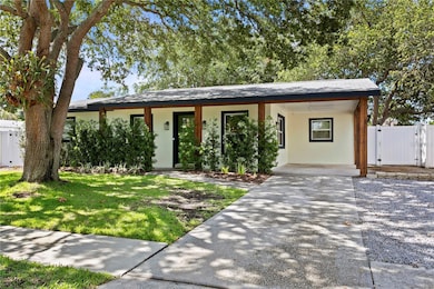 Majestic Live Oak provides shade