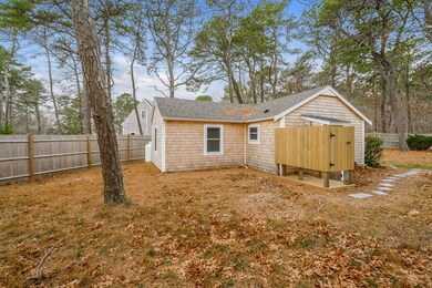 Backyard-8789688