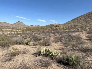 27236 Huff Rd, Terlingua, TX 79852 - photo 5