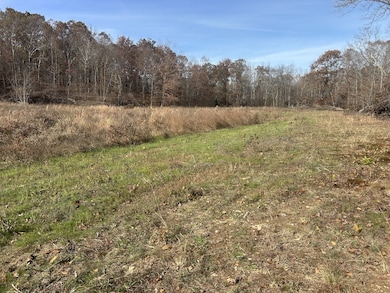 0 Sulphur Creek Rd unit RTC3044976, Big Sandy, TN 38221 - photo 5