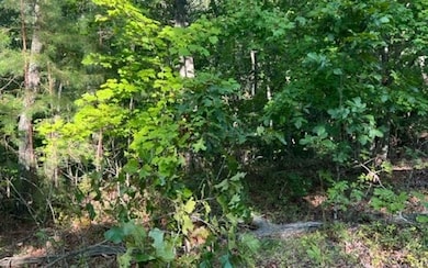 Additional View