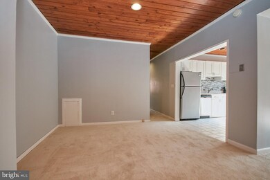 55 Skyhill Rd unit 302, Alexandria, VA 22314 - photo 7