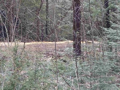 155 Pine Hill Rd, Ossipee, NH 03890 - photo 6