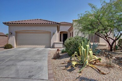 Mature Front Landscaping