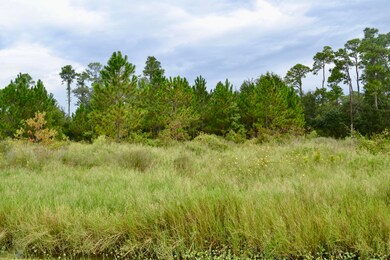 422 Bayview St, Pass Christian, MS 39571 - photo 5