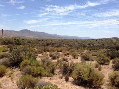 IMG_4374web