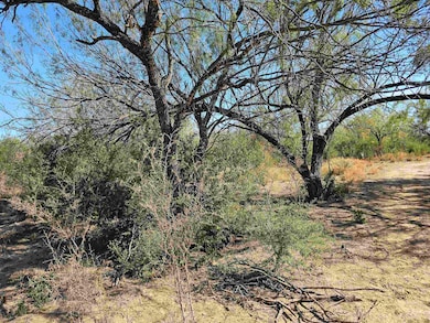 0 Abst 280 Por 10 unit 20255030, Laredo, TX 78045 - photo 3