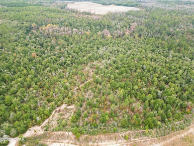 0000 Highview Cir, Chipley, FL 32428 - photo 2