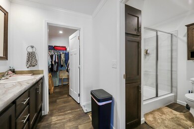 Full bath with vanity, dark wood-style floors, ornamental molding, a shower stall, and a spacious closet