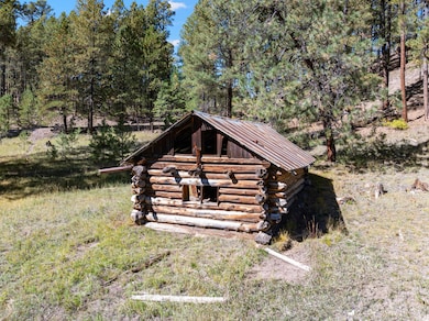 27.5 Acres Jemez Mountain Forest Rd 10, Jemez Springs, NM 87025 - photo 7