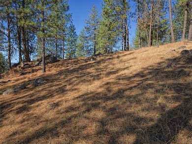 TBD Raven Ridge, Nine Mile Falls, WA 99026 - photo 2