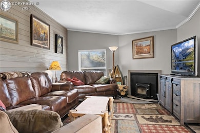 488 31st Trail, Cotopaxi, CO 81223 - photo 5